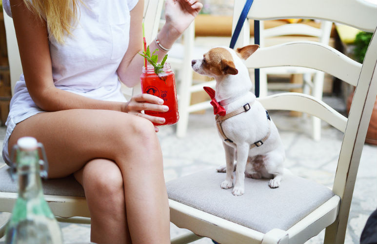 41 Pawfect Dog-Friendly Café’s & Bars