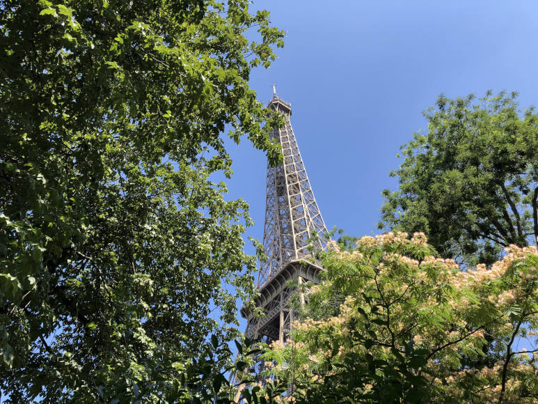 6 Cheeky Paris Tips for First Timers