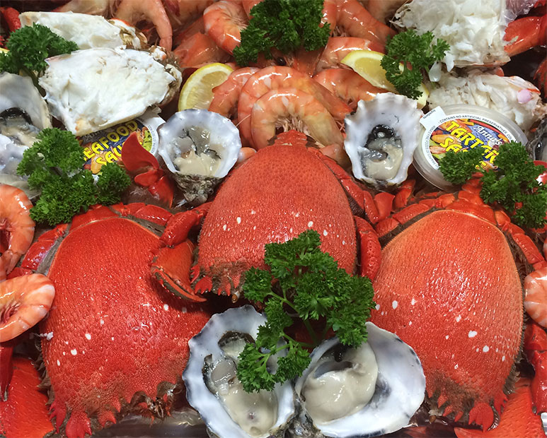 Wynnum Seafood Festival 2016
