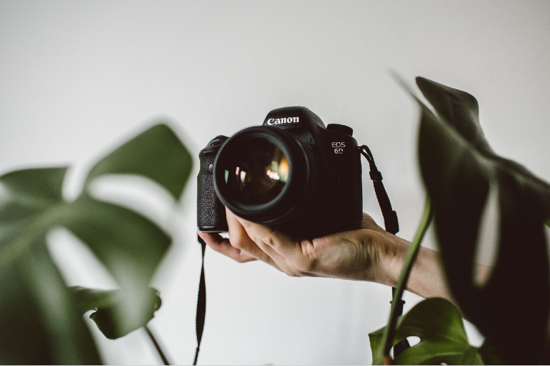 20 Local Photographers to Focus in On