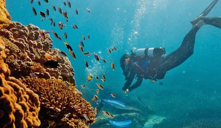 Queensland's Must See Holiday Spots