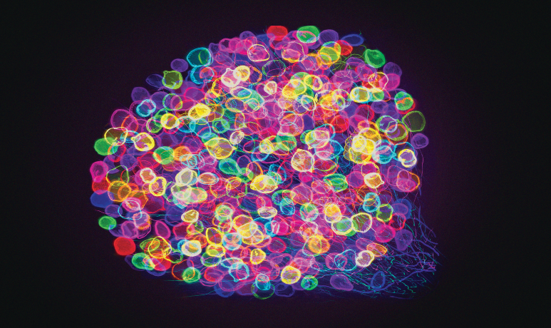 Image Source: Hiromi Tango